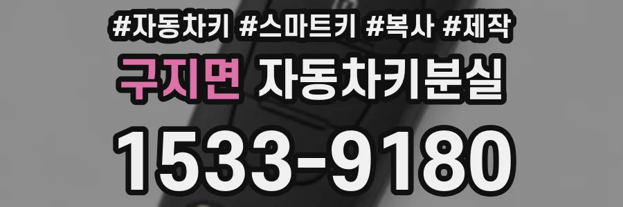 구지면 자동차키분실