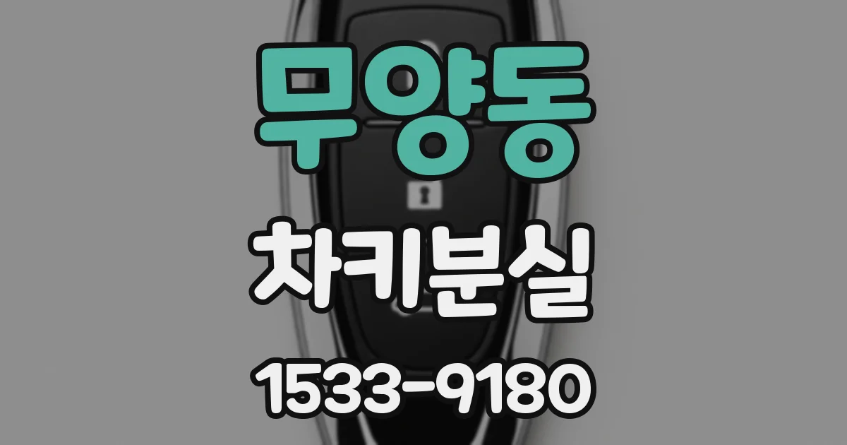 무양동 차키분실