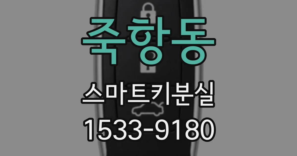 죽항동 스마트키분실