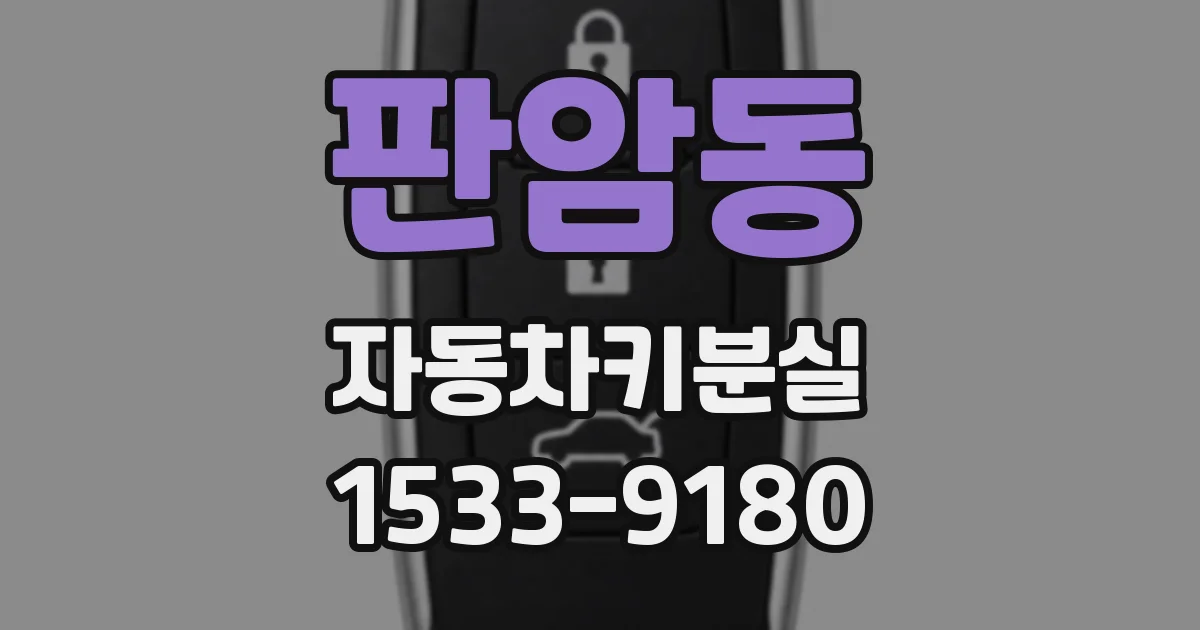 판암동 자동차키분실