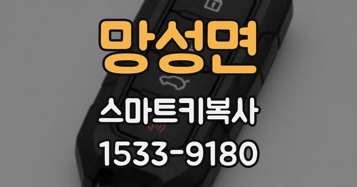 망성면 스마트키복사