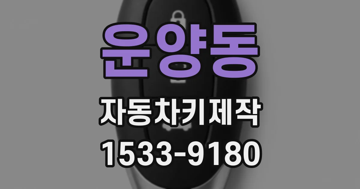 운양동 자동차키제작
