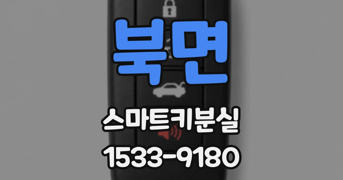 북면 스마트키분실