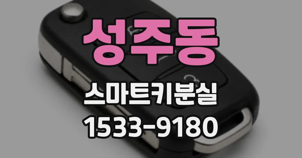 성주동 스마트키분실