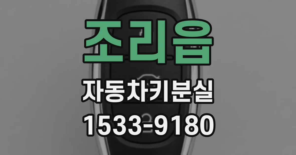 조리읍 자동차키분실