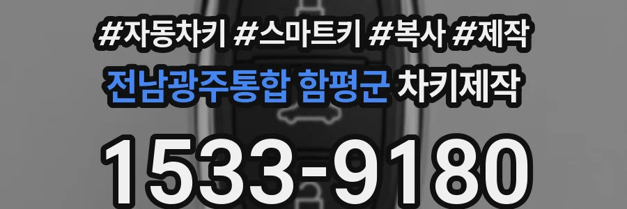 전남광주통합 함평군 차키제작