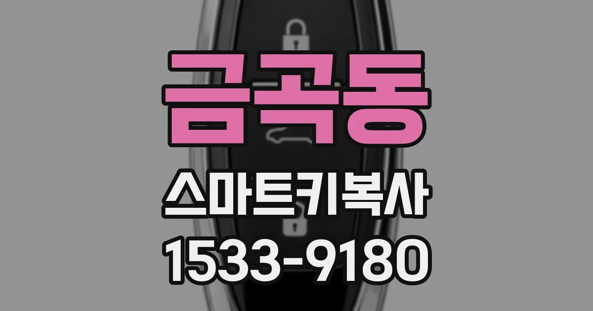금곡동 스마트키복사