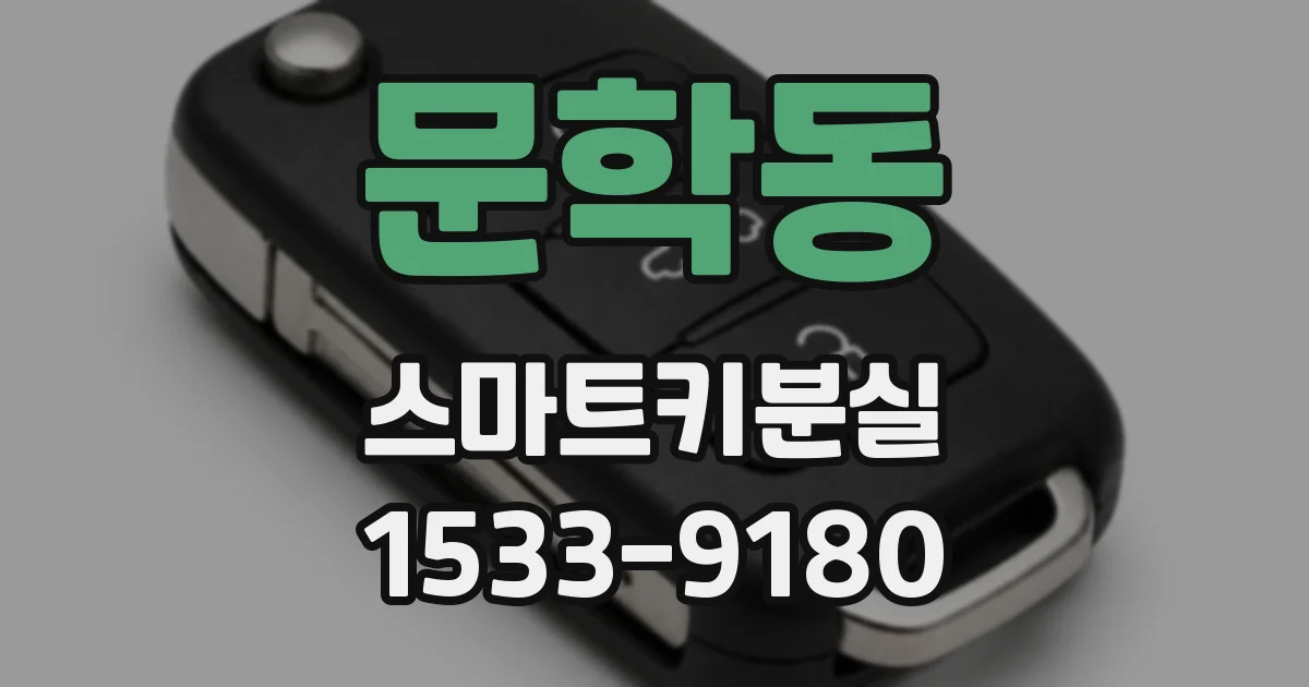 문학동 스마트키분실