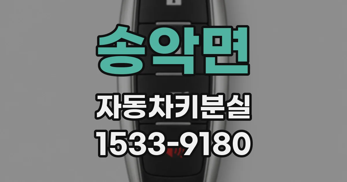 송악면 자동차키분실
