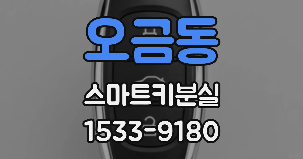 오금동 스마트키분실