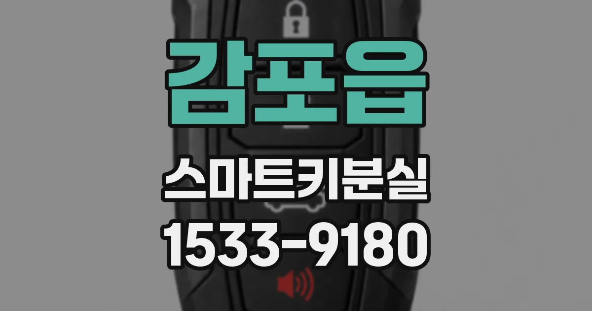 감포읍 스마트키분실