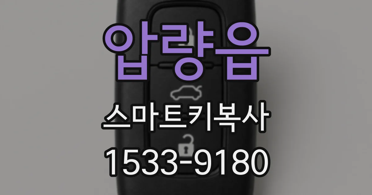 압량읍 스마트키복사