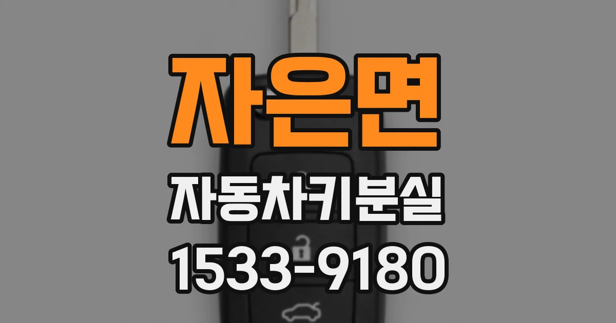 자은면 자동차키분실
