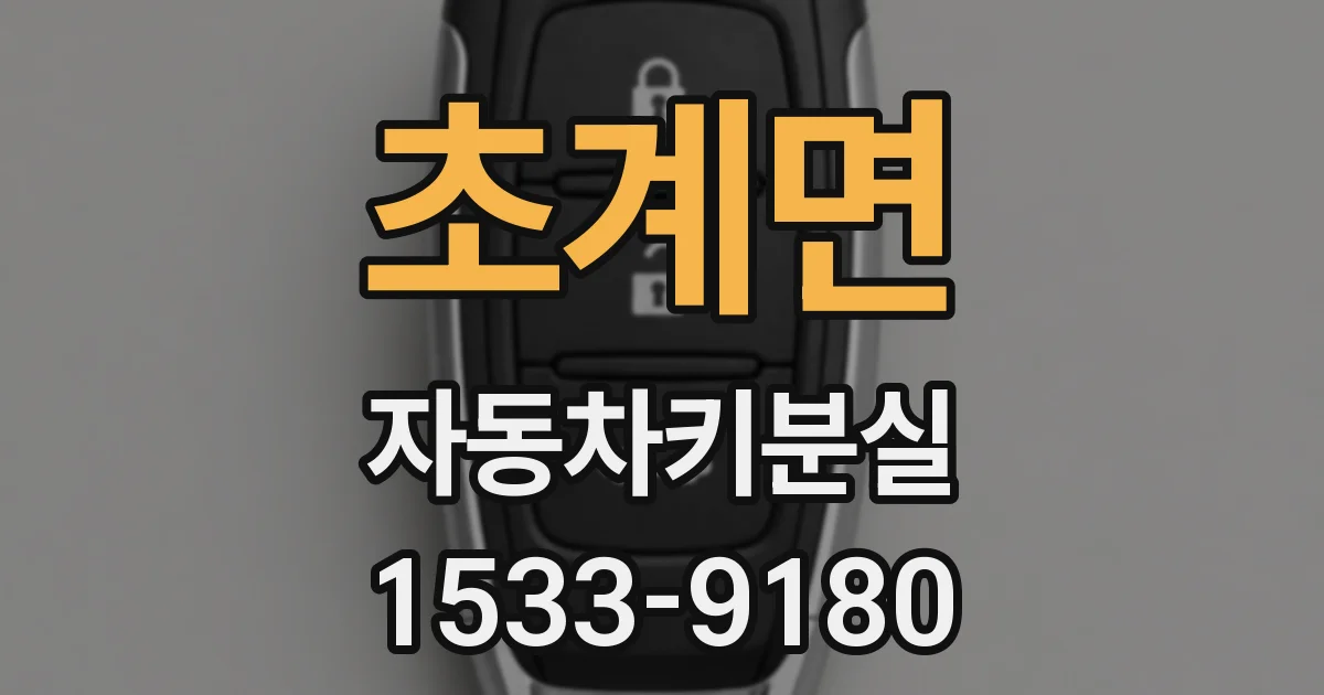 초계면 자동차키분실