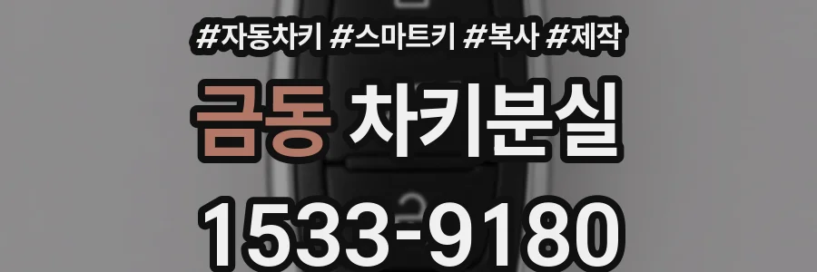 금동 차키분실