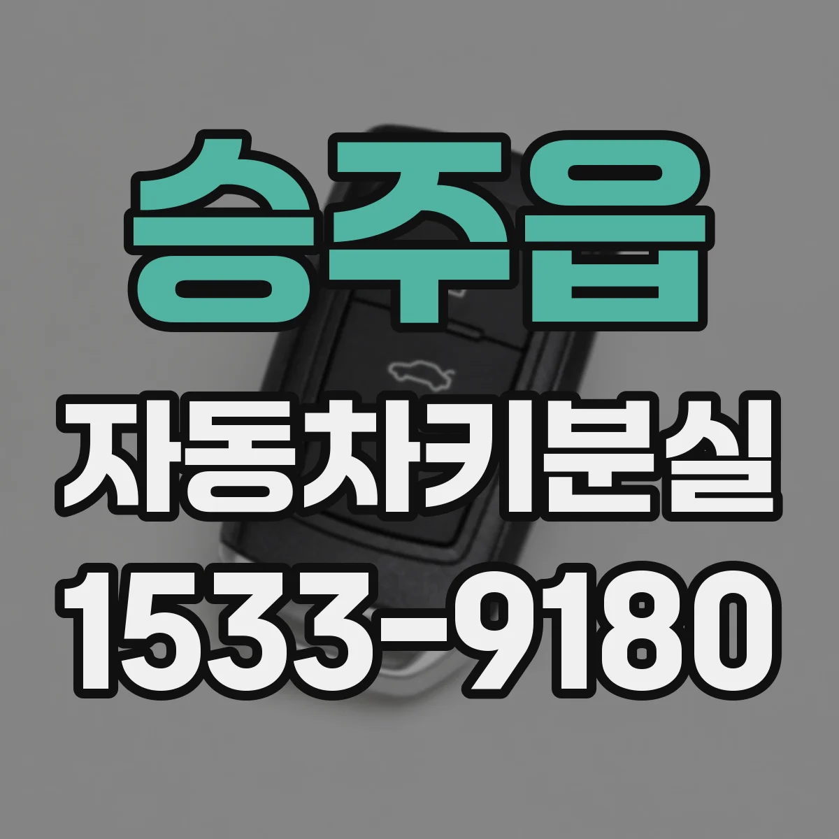 승주읍 자동차키분실