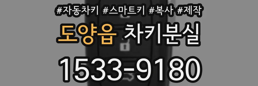 도양읍 차키분실