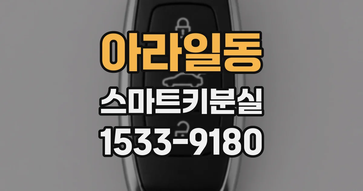 아라일동 스마트키분실