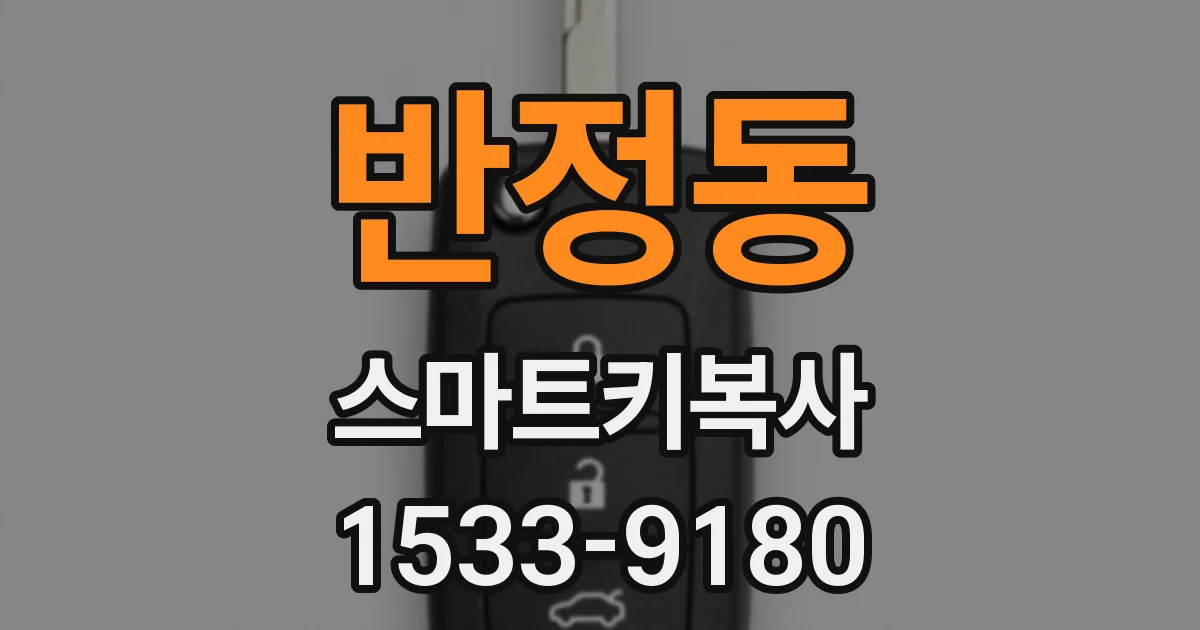 반정동 스마트키복사