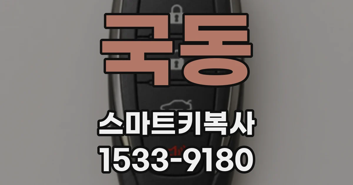 국동 스마트키복사