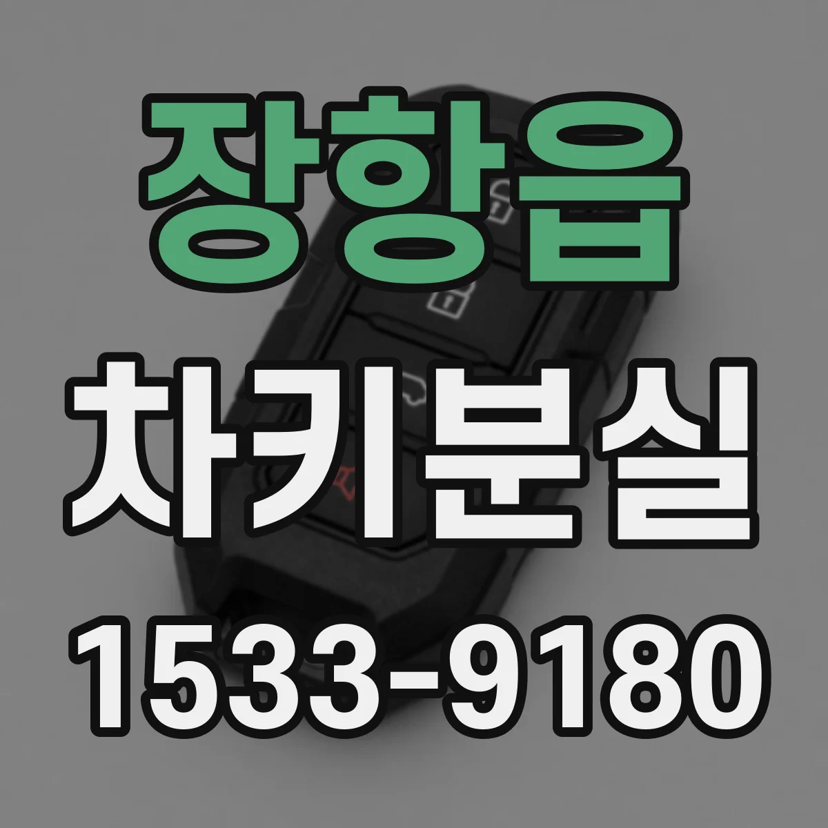 장항읍 차키분실