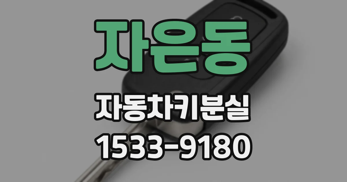 자은동 자동차키분실