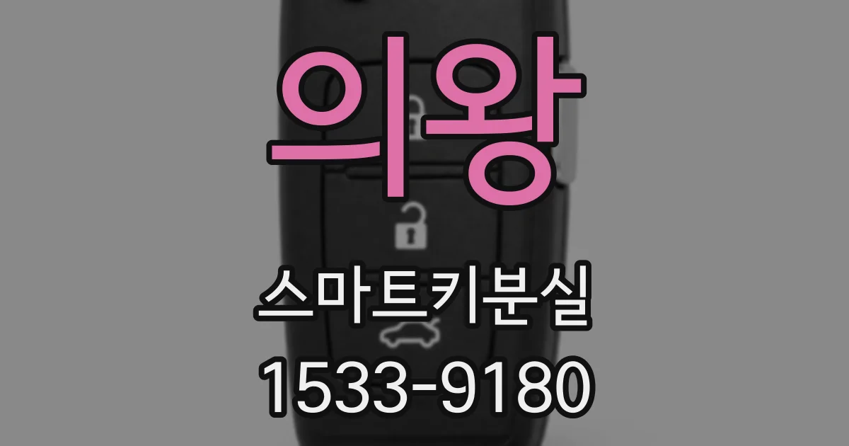 의왕 스마트키분실
