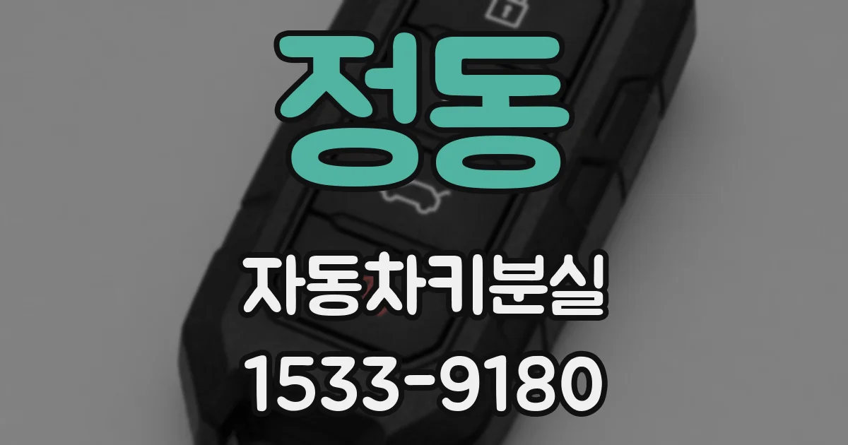 정동 자동차키분실