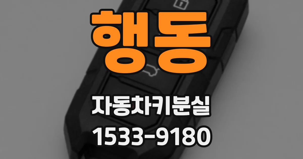 행동 자동차키분실