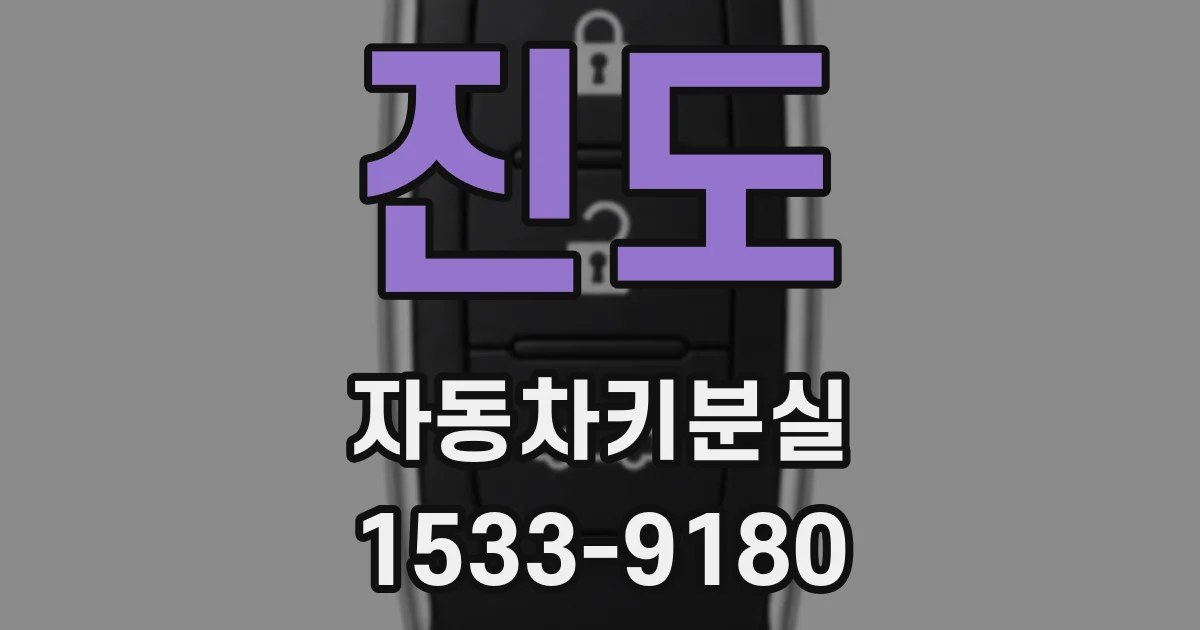 진도 자동차키분실