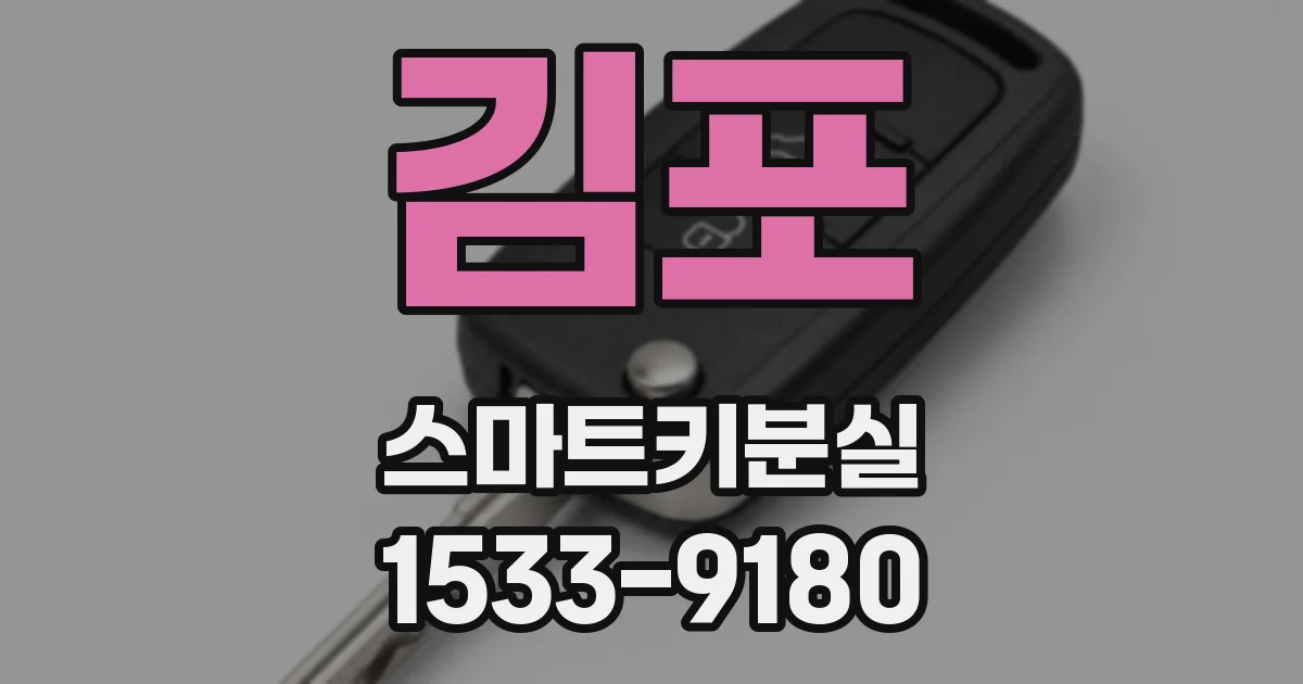 김포 스마트키분실