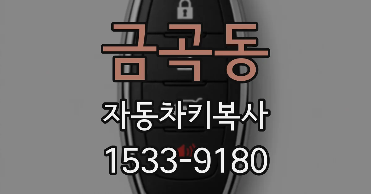 금곡동 자동차키복사