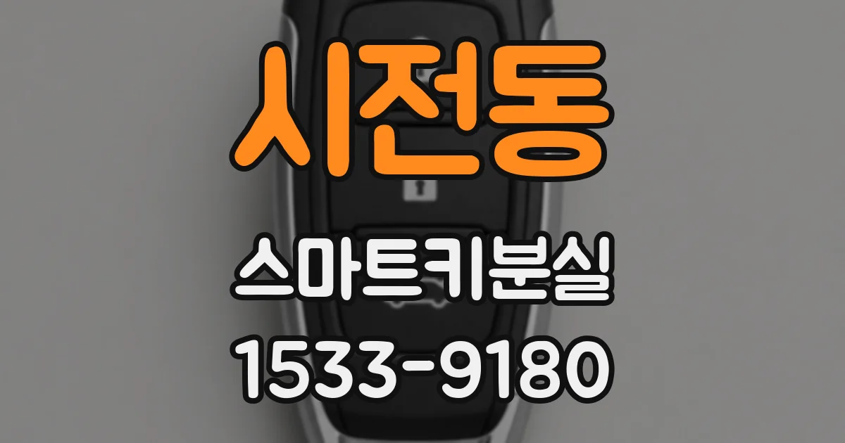시전동 스마트키분실
