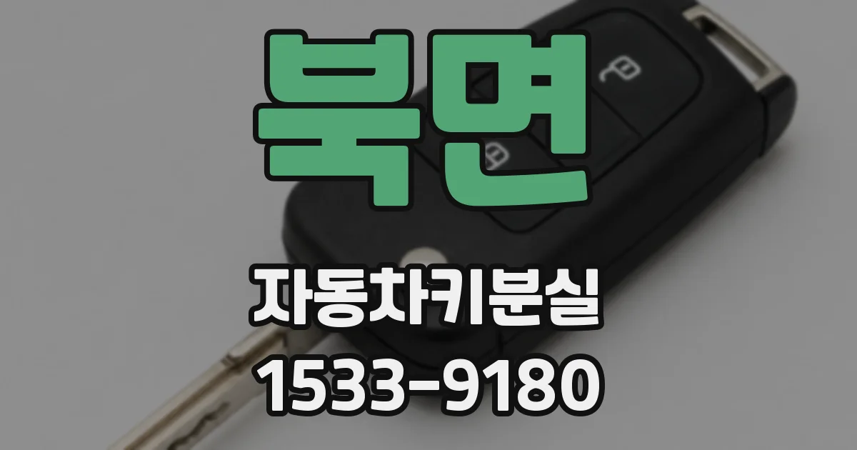 북면 자동차키분실