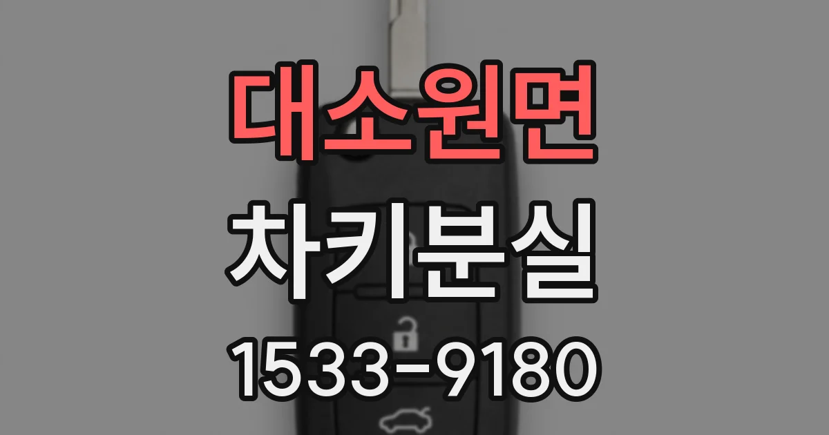 대소원면 차키분실