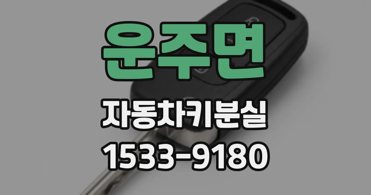 운주면 자동차키분실