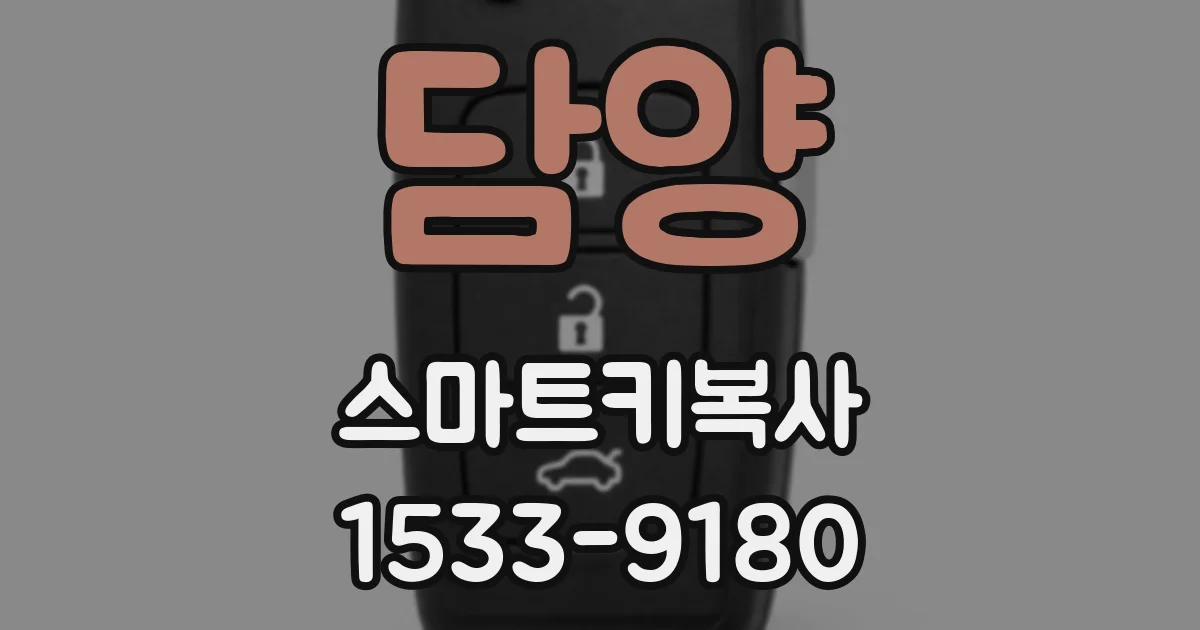 담양 스마트키복사