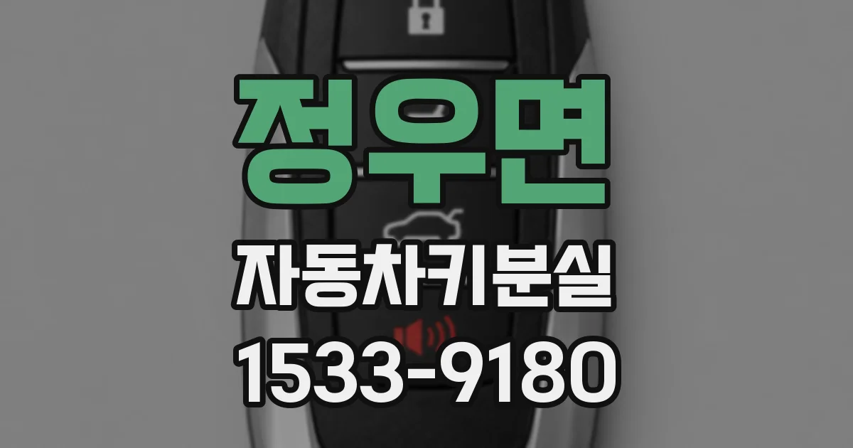 정우면 자동차키분실