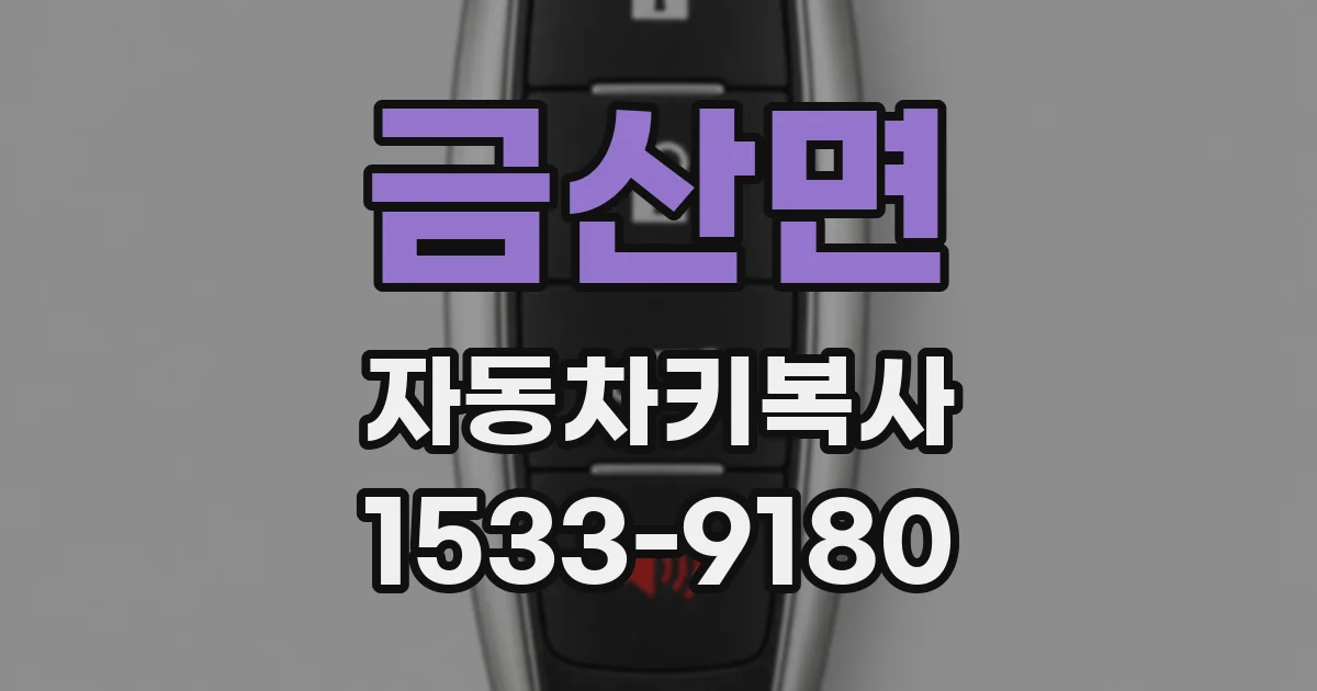 금산면 자동차키복사
