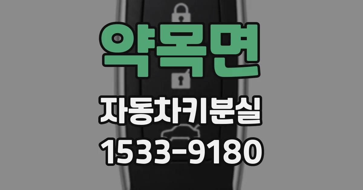약목면 자동차키분실