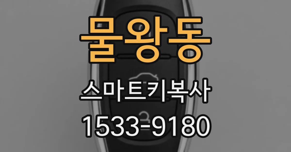 물왕동 스마트키복사
