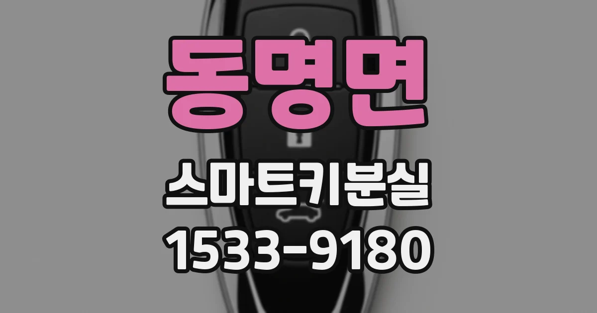 동명면 스마트키분실