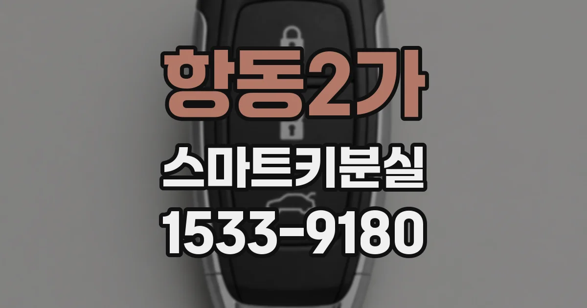 항동2가 스마트키분실