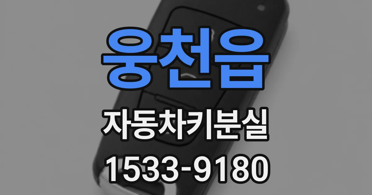 웅천읍 자동차키분실