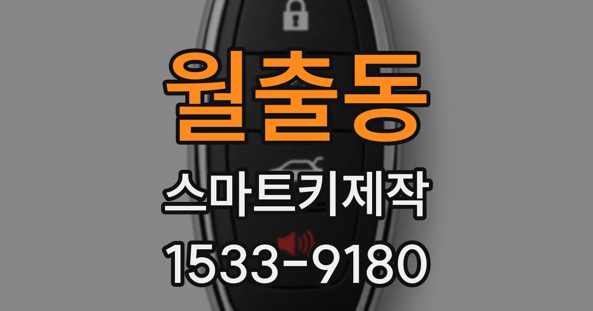 월출동 스마트키제작