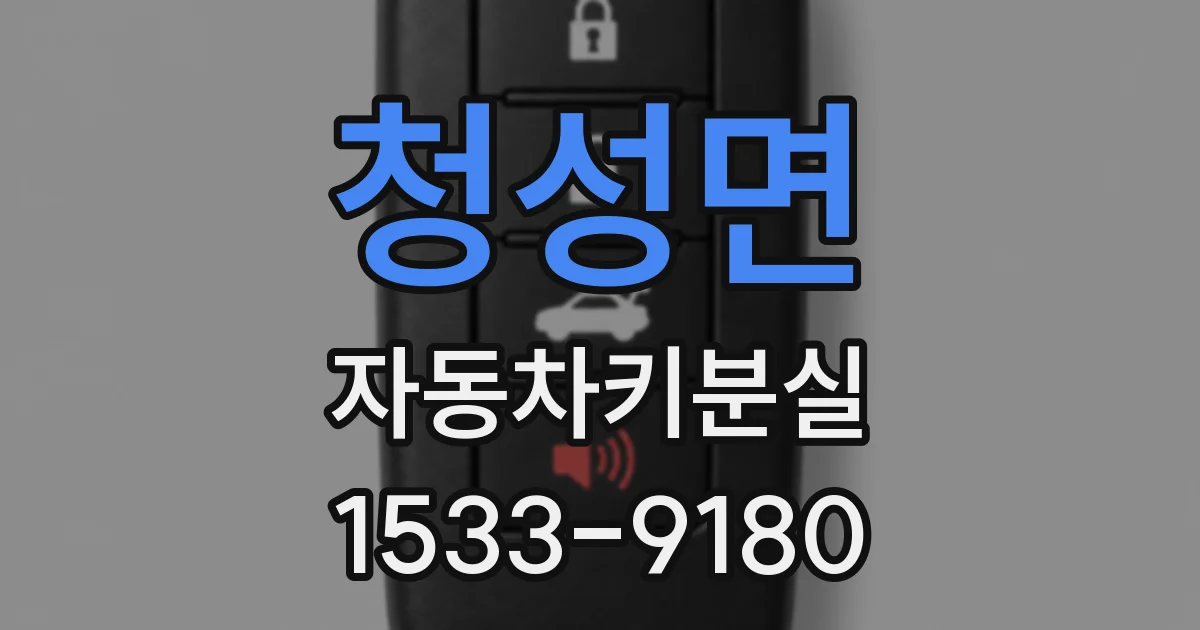 청성면 자동차키분실