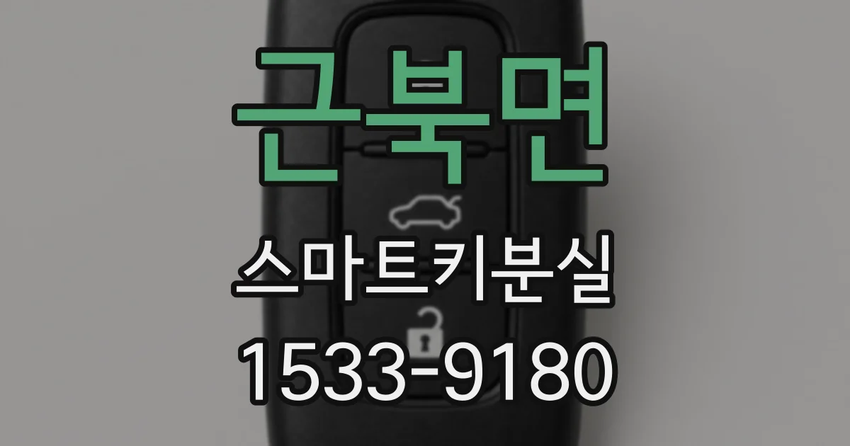 근북면 스마트키분실