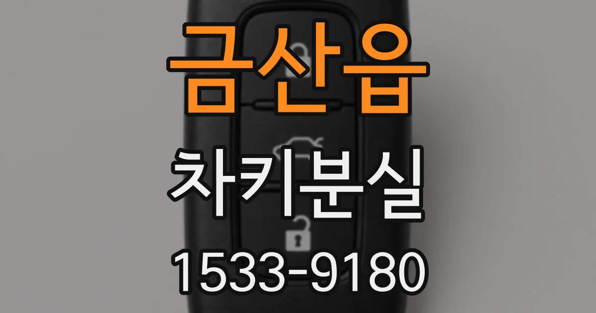 금산읍 차키분실
