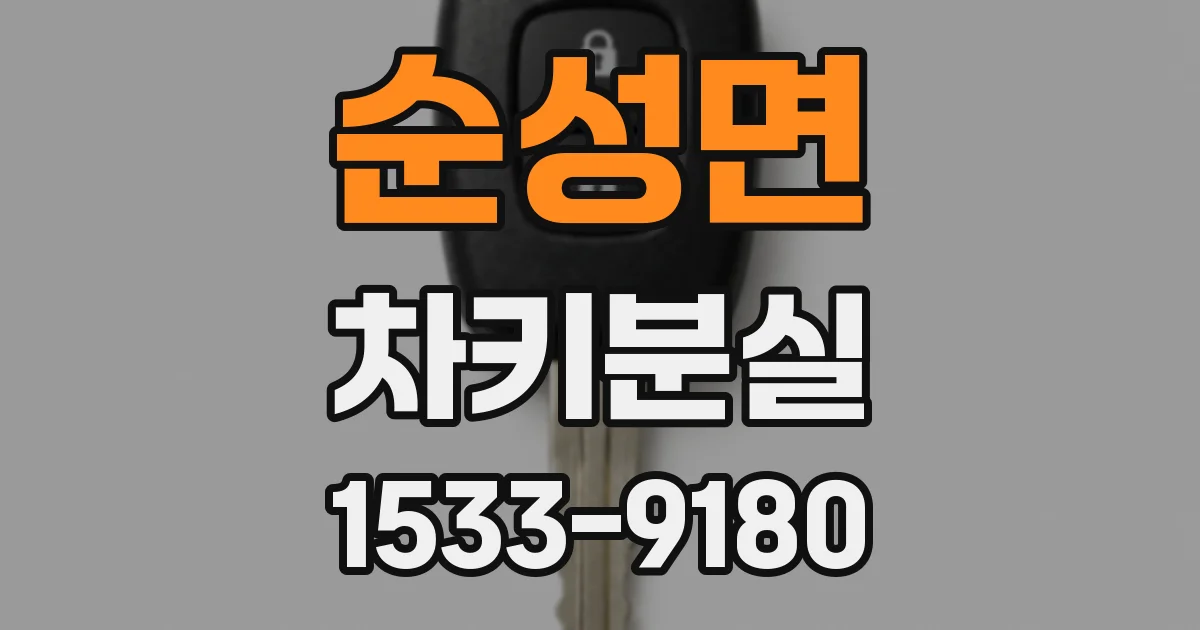 순성면 차키분실