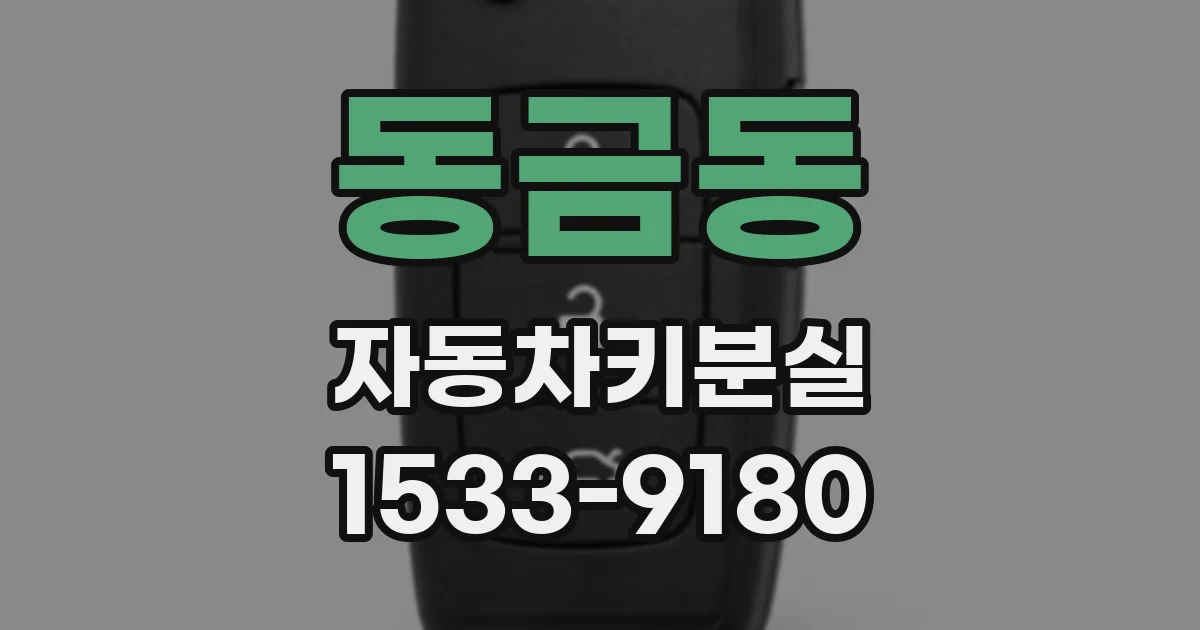 동금동 자동차키분실